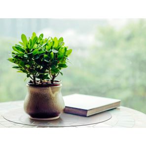 Desktex® Pack of 2 Polycarbonate Circular Mats - 12